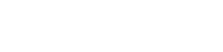 Wiser Node